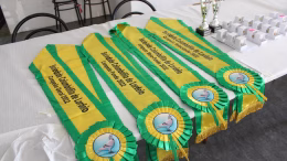 Campeonato do Columbófilo