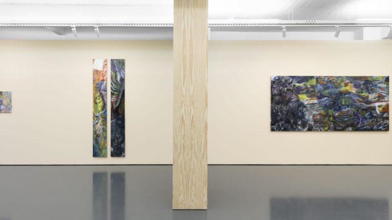 Ana Manso _ créditos_ Fotografias de Bruno Lopes _ Cortesia da artista e Pedro Cera